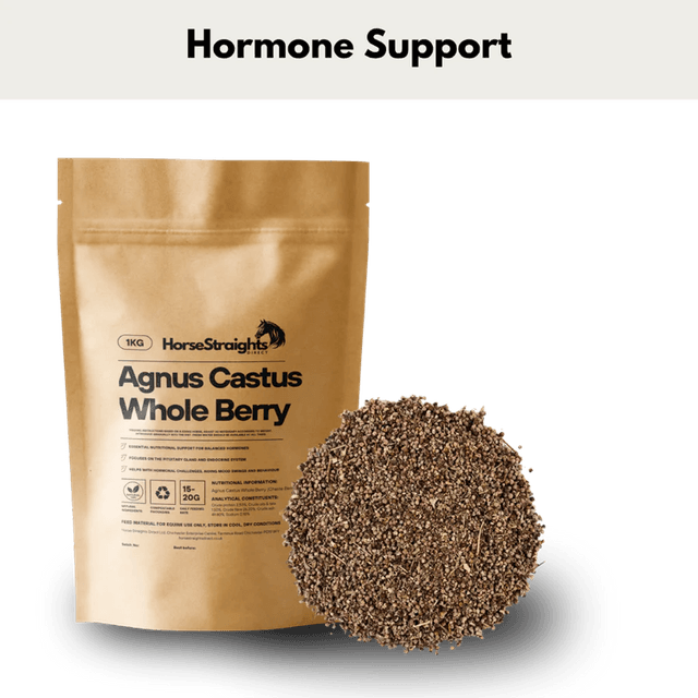 Agnus Castus Whole Berry - HORSE STRAIGHTS
