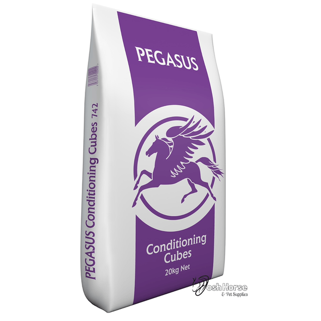 Pegasus Conditioning Cubes 20kg