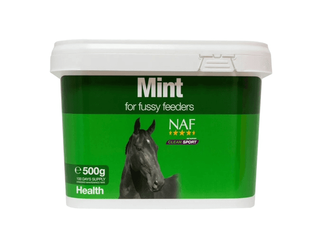 NAF Mint 500g