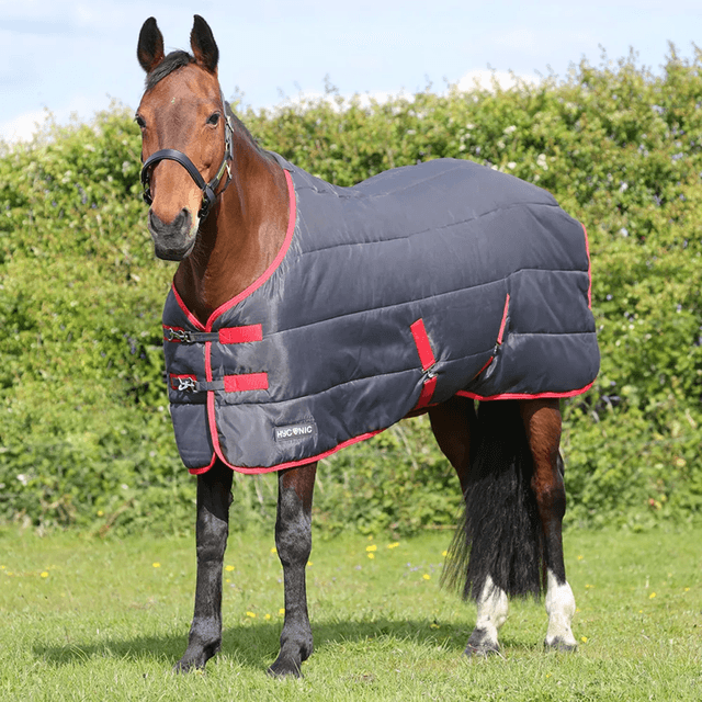 HyCONIC 250g Stable Rug  - Red/Charcoal 