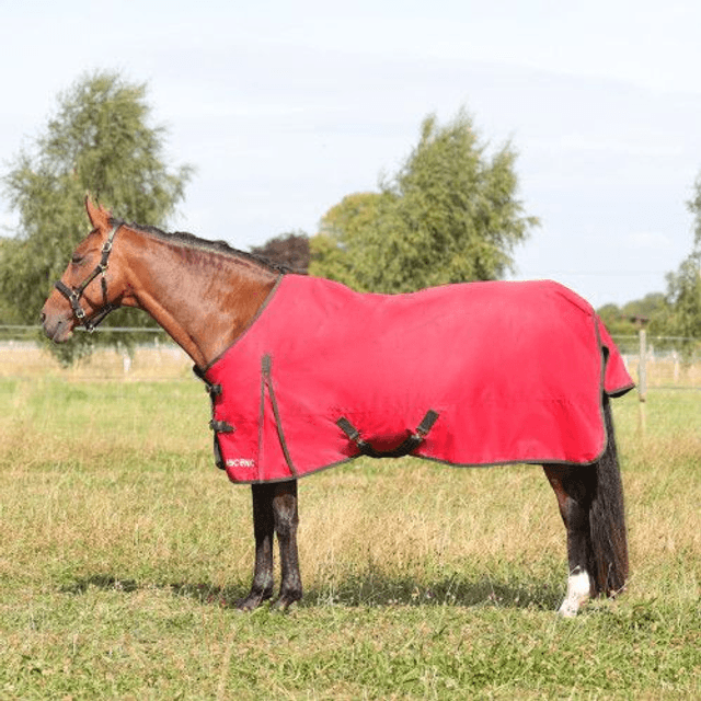 HyCONIC 50g Turnout Rug  - Red/Charcoal