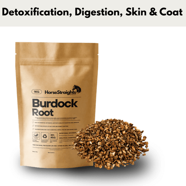 Burdock Root - HORSE STRAIGHTS 